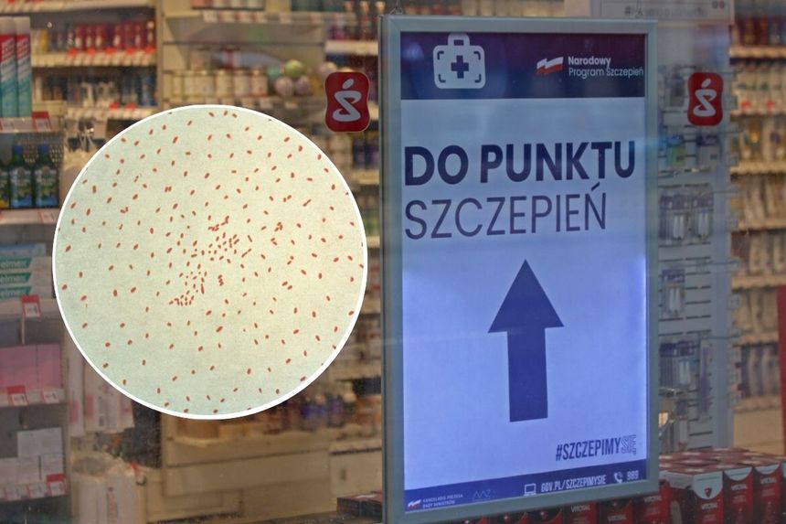2121.Note: Not all PHIL images are public domain; be sure to check copyright status and credit authors and content providers.العربية | Deutsch | English | македонски | slovenščina | +/−, Domena publiczna, https://commons.wikimedia.org/w/index.php?curid=973324