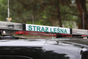 Straż leśna sprawdza polskie lasy