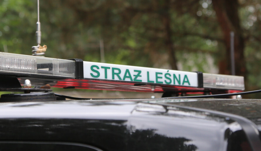 Straż leśna sprawdza polskie lasy