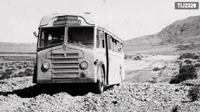 Albert bus