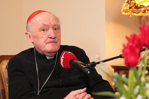 kardynał Nycz