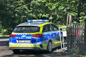 policja
