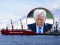 trump grenlandia