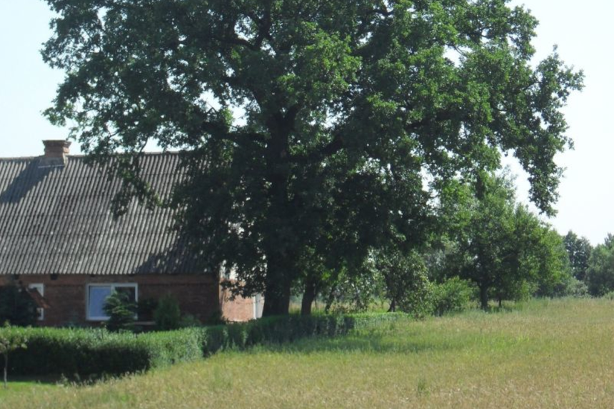 Jania Góra