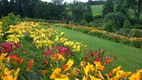 Arboretum Wojsławice