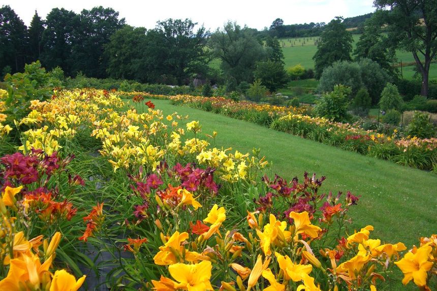 Arboretum Wojsławice