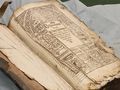Biblia brzeska