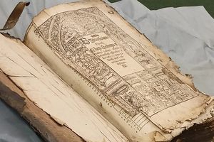 Biblia brzeska