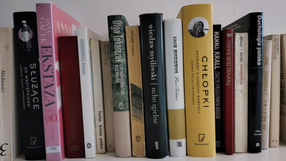 Polskie książki na półce