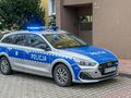 policja