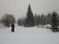 Karkonosze