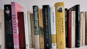 Polskie książki na półce 