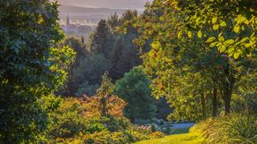 Arboretum Wojsławice