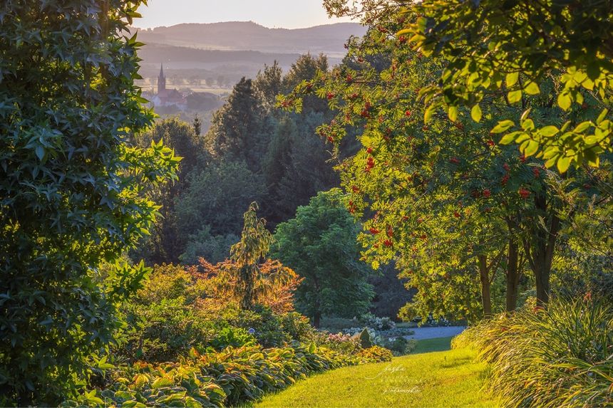 Arboretum Wojsławice