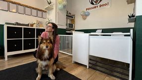 Wrocław. Psie przedszkole Psiooby Doo