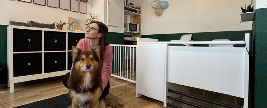 Wrocław. Psie przedszkole Psiooby Doo