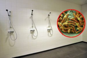 Prysznice i legionella