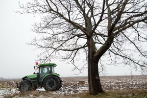 Ostatni dzień na złożenie wniosku o dopłaty dla rolników