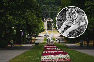 Śląski Ogród Zoologiczny