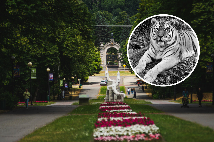 Śląski Ogród Zoologiczny