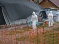Uganda. Kolejne zakażenia wirusem Ebola