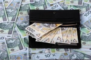 portfel z pieniędzmi leżący na pieniądzach