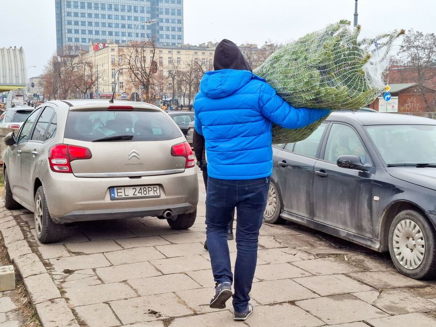 mężczyzna niosący choinkę