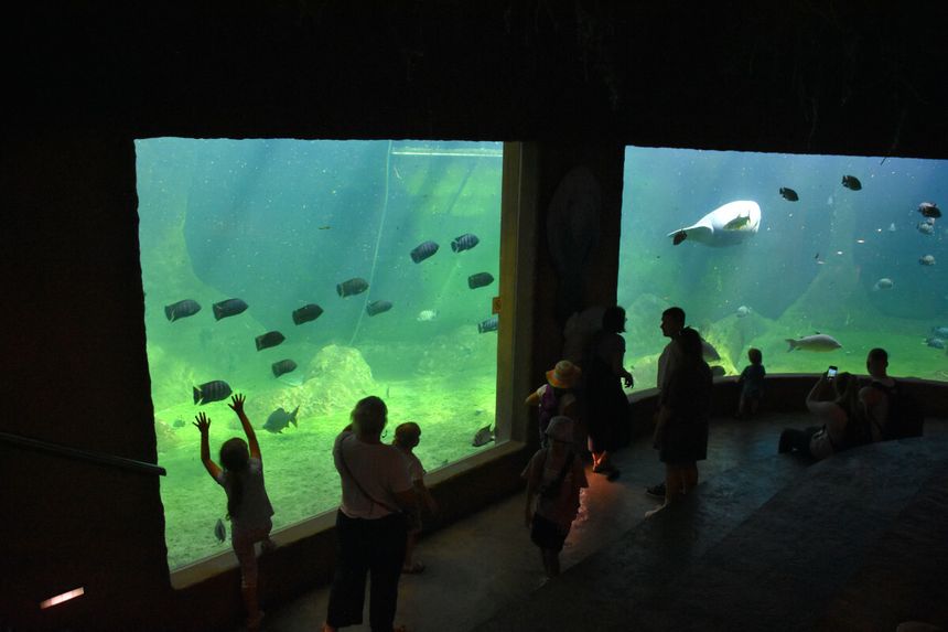 ZOO Wrocław