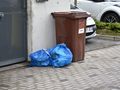 Za posiadanie tych środków na gryzonie można dostać wysoki mandat