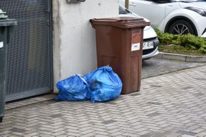 Za posiadanie tych środków na gryzonie można dostać wysoki mandat
