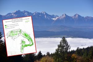 Tatry, widok z Pienin