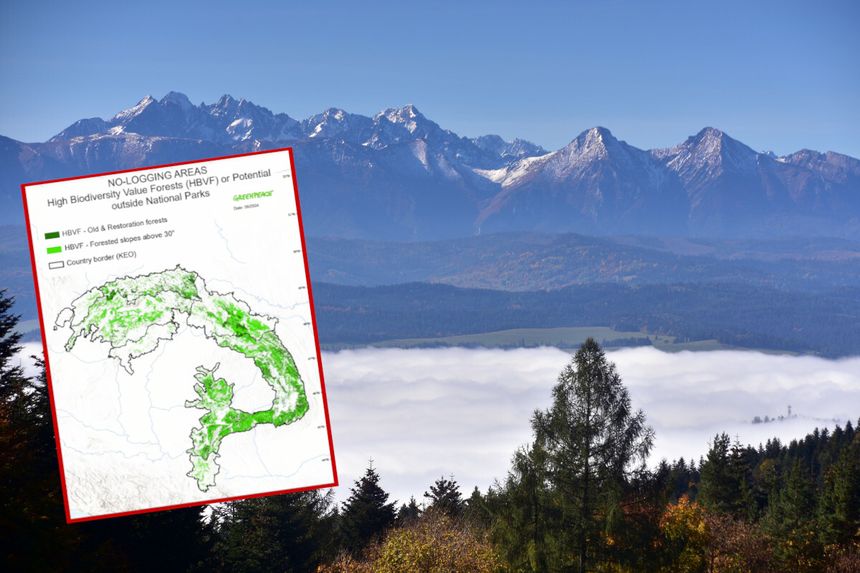 Tatry, widok z Pienin