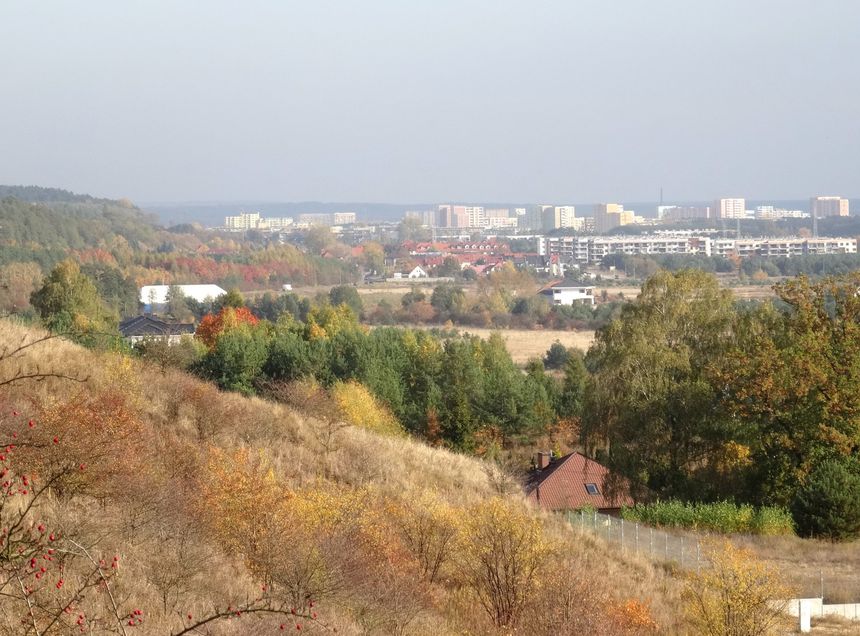 Zamczysko w Bydgoszczy