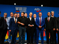 Partia AfD - postulaty i program