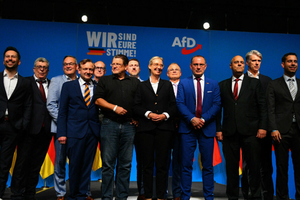 Partia AfD - postulaty i program