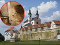 Klasztor kamedułów w Wigrach