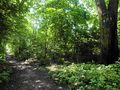 park Wiśniewo