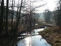 Tucholski Park Krajobrazowy