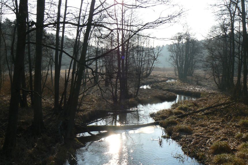 Tucholski Park Krajobrazowy