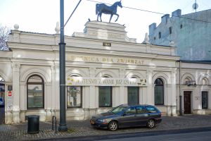 Lecznica Pod koniem