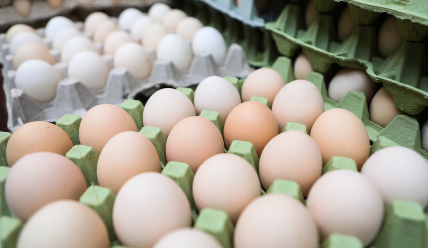 jaja 