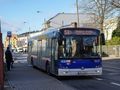 Autobus