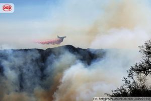 Pożar w Los Angeles