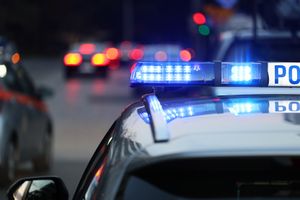 policja