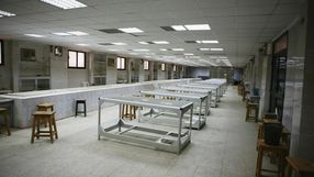 Jak pachnie śmierć? Tak reagujemy na pośmiertną woń