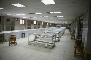 Jak pachnie śmierć? Tak reagujemy na pośmiertną woń
