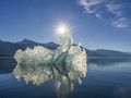 Oceanolog ostrzega: taki scenariusz czeka Ziemię