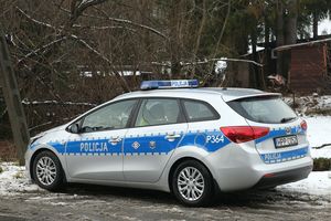 Trzydnik Duży