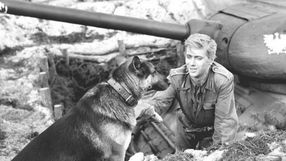 Czterej pancerni i pies