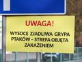 Wysoce zjadliwa grypa ptaków